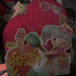Secret Crush