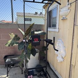 Pull-Up & Dip Station