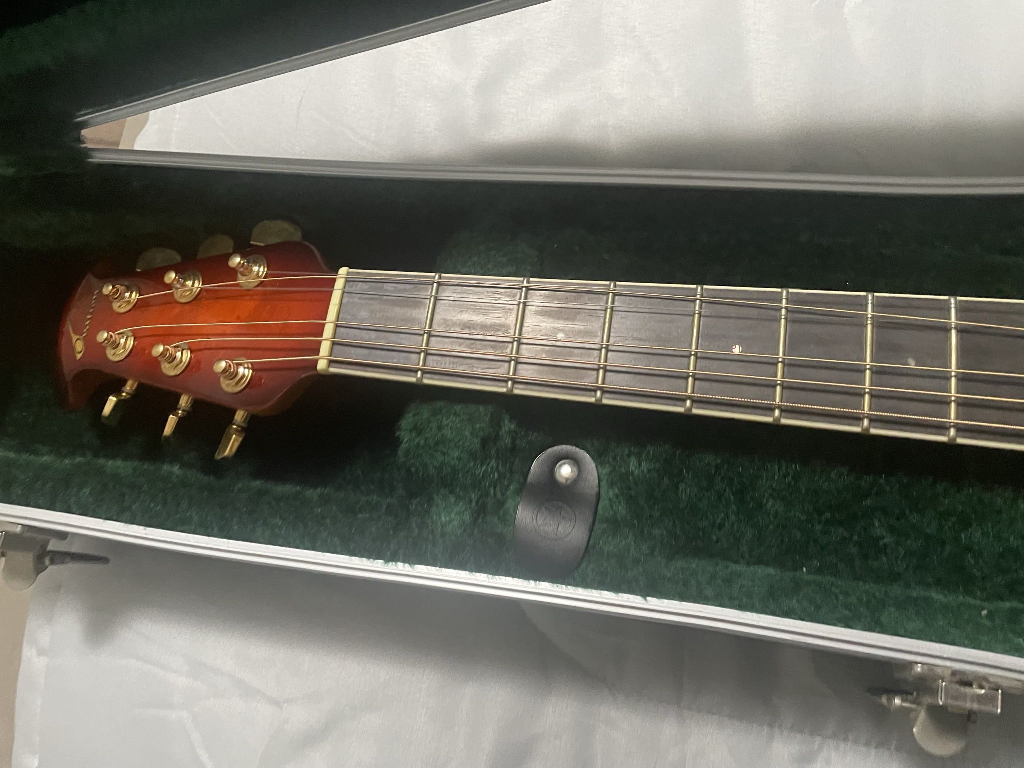 Acoustic guitar with case