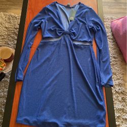 Sparkly Blue Dress (large)