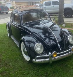 1955 Volkswagen Beetle