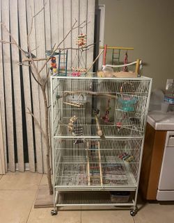 Bird Perch Tree Stand
