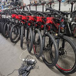 Electric Bikes 