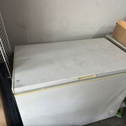 Large Capacity Deep Freezer 