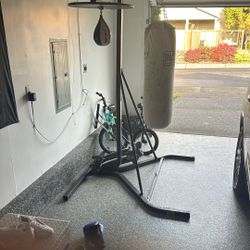 Punching Bad With Speed Bag Combo 