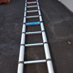 Extension Ladder 