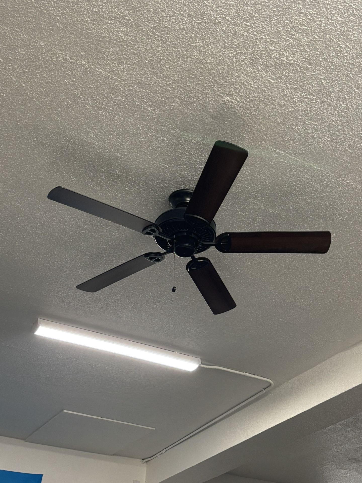 Ceiling Fan