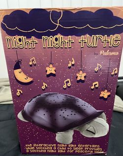 Night Night Turtle