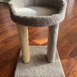 Cat Scratcher Bed