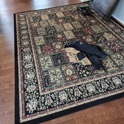 Rectangle Area Rug 7'10" X 10'4"