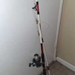 Fishing Rod with Reel