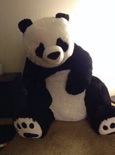 Teddy bear
