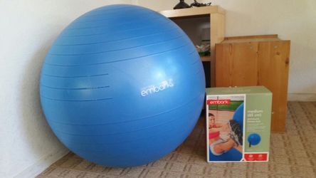 Fitness Ball Embark Medium
