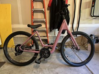 Specialized Roll Sport Low Entry Size L