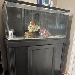 Fish Tank 