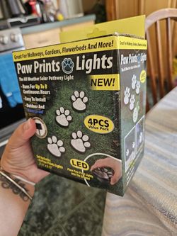 Paw Pints Dolor Lights