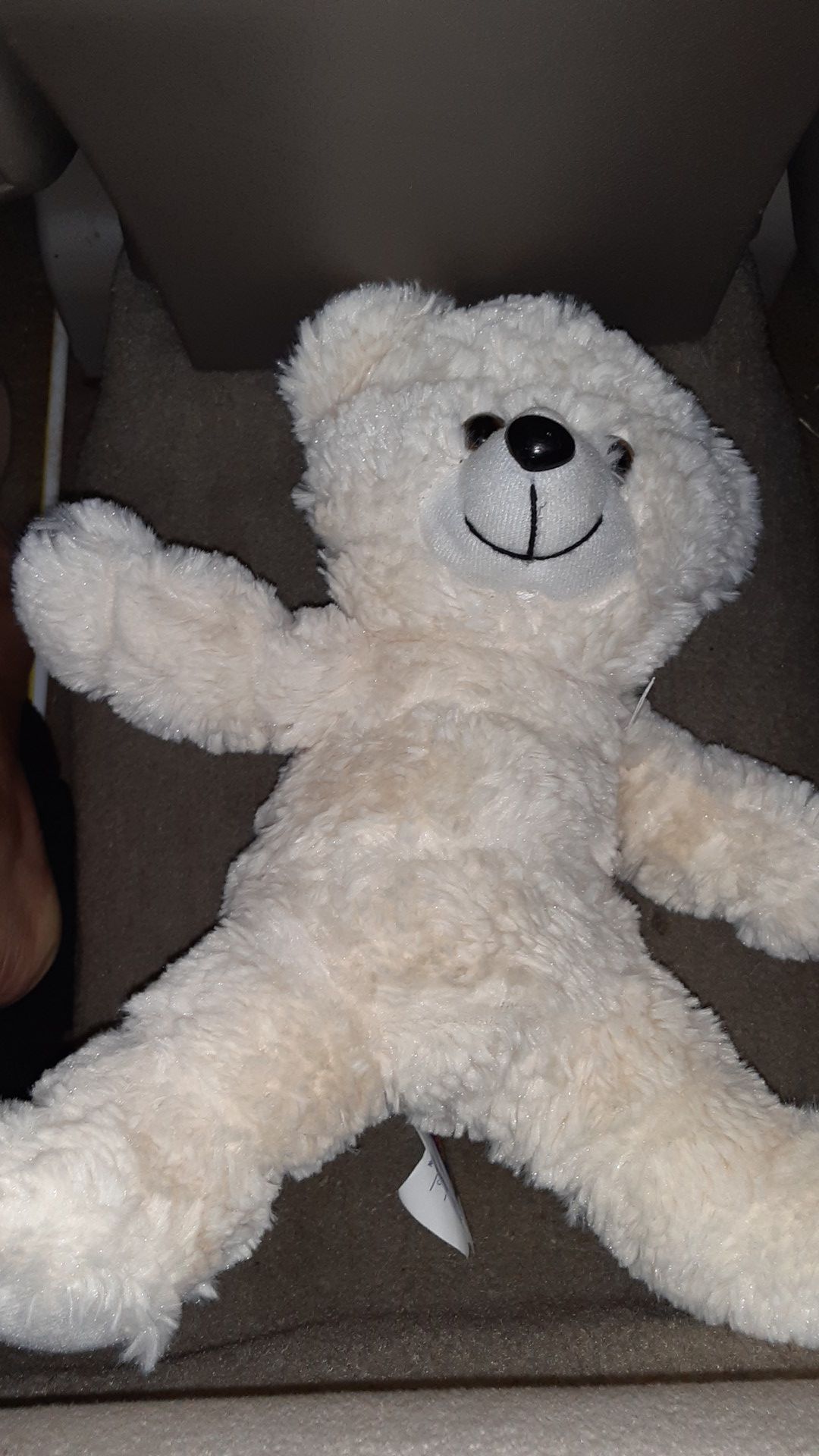 White Fluffy Teddy Bear