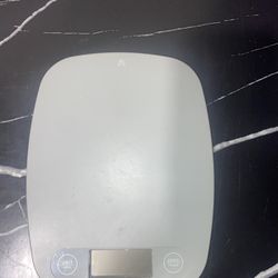 Food Weight Scale 