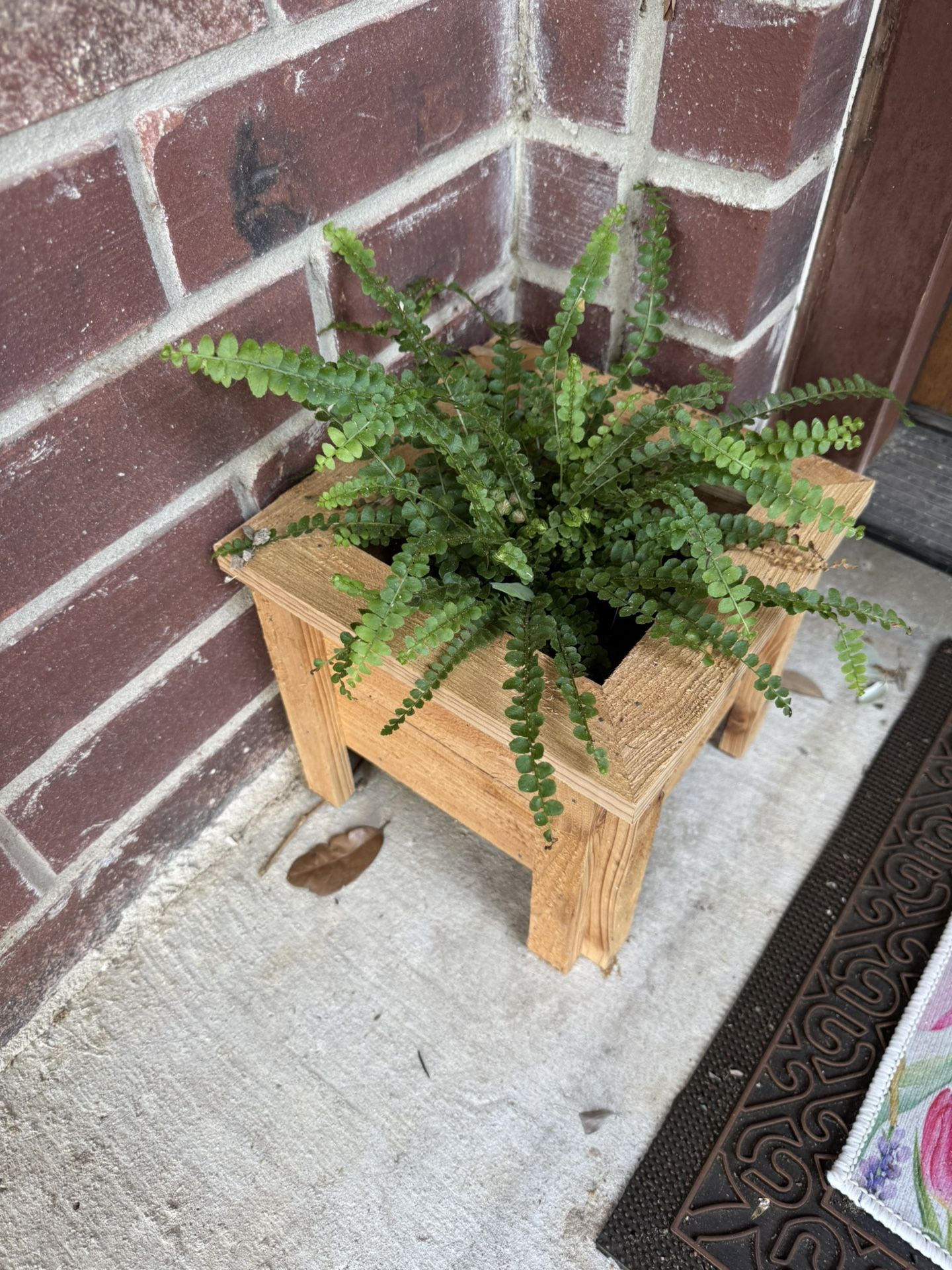 Mini Cedar Planter Box