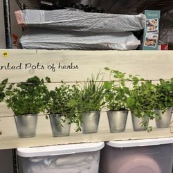 Home Decor- Picture Of Herbs
