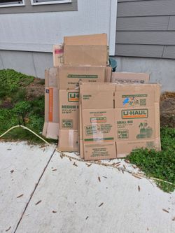 Professional Moving Boxes