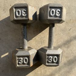 30lb Dumbbells