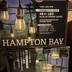 24-Light 48 ft. Indoor/Outdoor Plug-In Filament LED S14 Edison