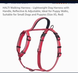 Halt Walking Harness Dog