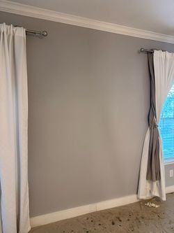 Painter pro.