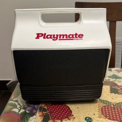 Playmate Igloo Mini Cooler