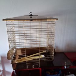Bird Cage 