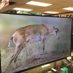 TCL  50 Inch 4K Tv W/ Remote