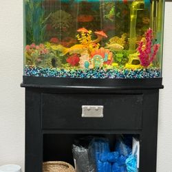 Fish Tank 
