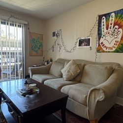 Vintage Couch and Pillow