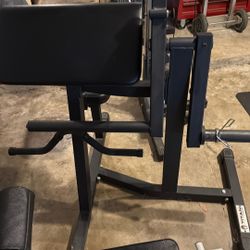 Preacher Curl and Tricep Ext Machine