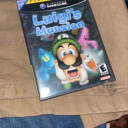 Gamecube Game Luigi’s Mansion 