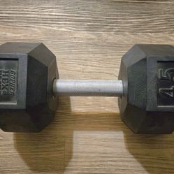 Rubber Coated Dumbbell 45lb