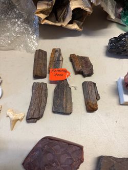Petrified Wood