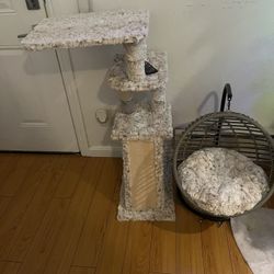 Cat Tree And Swing bed