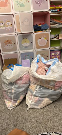 Toddler girls clothing bundle (2bags)