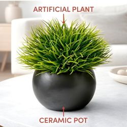 Artificial Plants in Ceramic Pots succulent