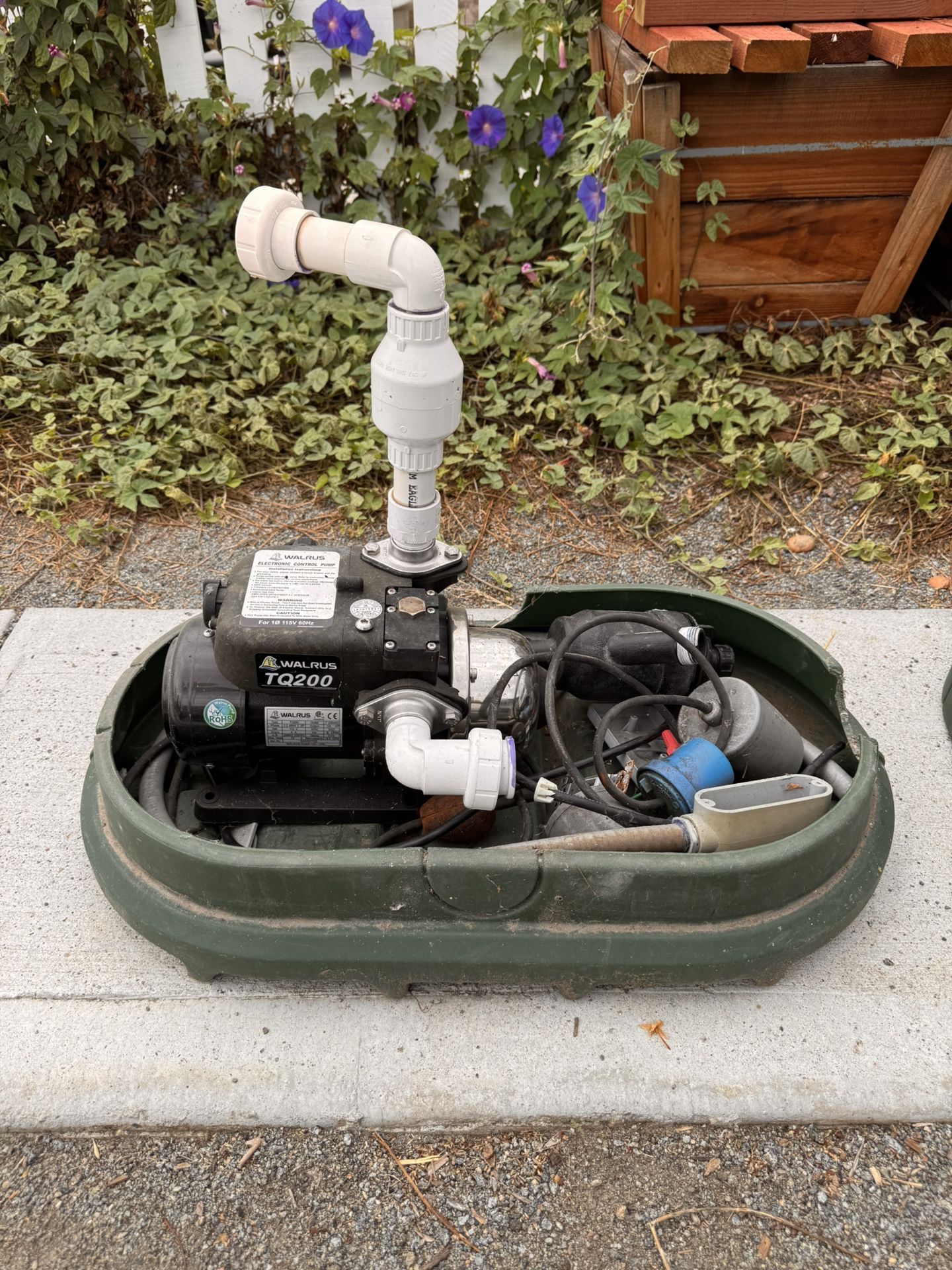 Walrus TQ200 Pump And Extras!!