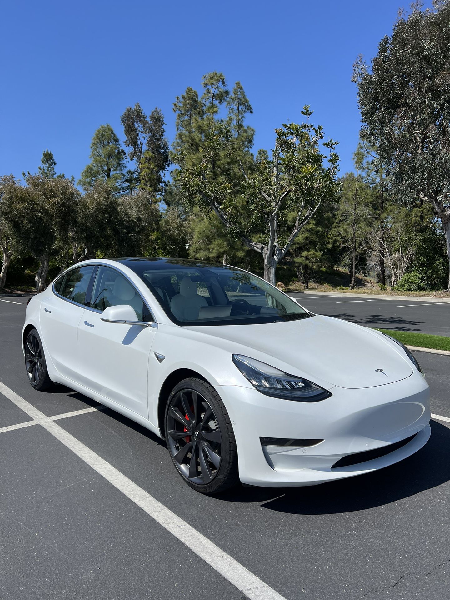 2020 Tesla Model 3 Performance FSD