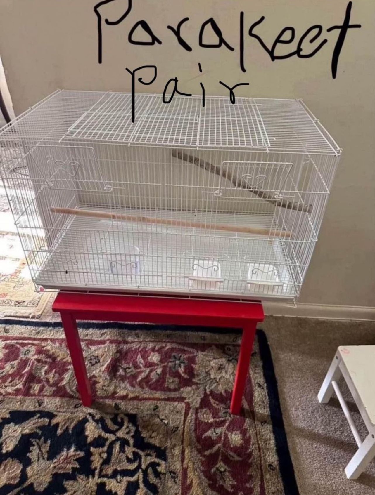Parakeet Cage