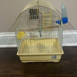 Bird Cage 