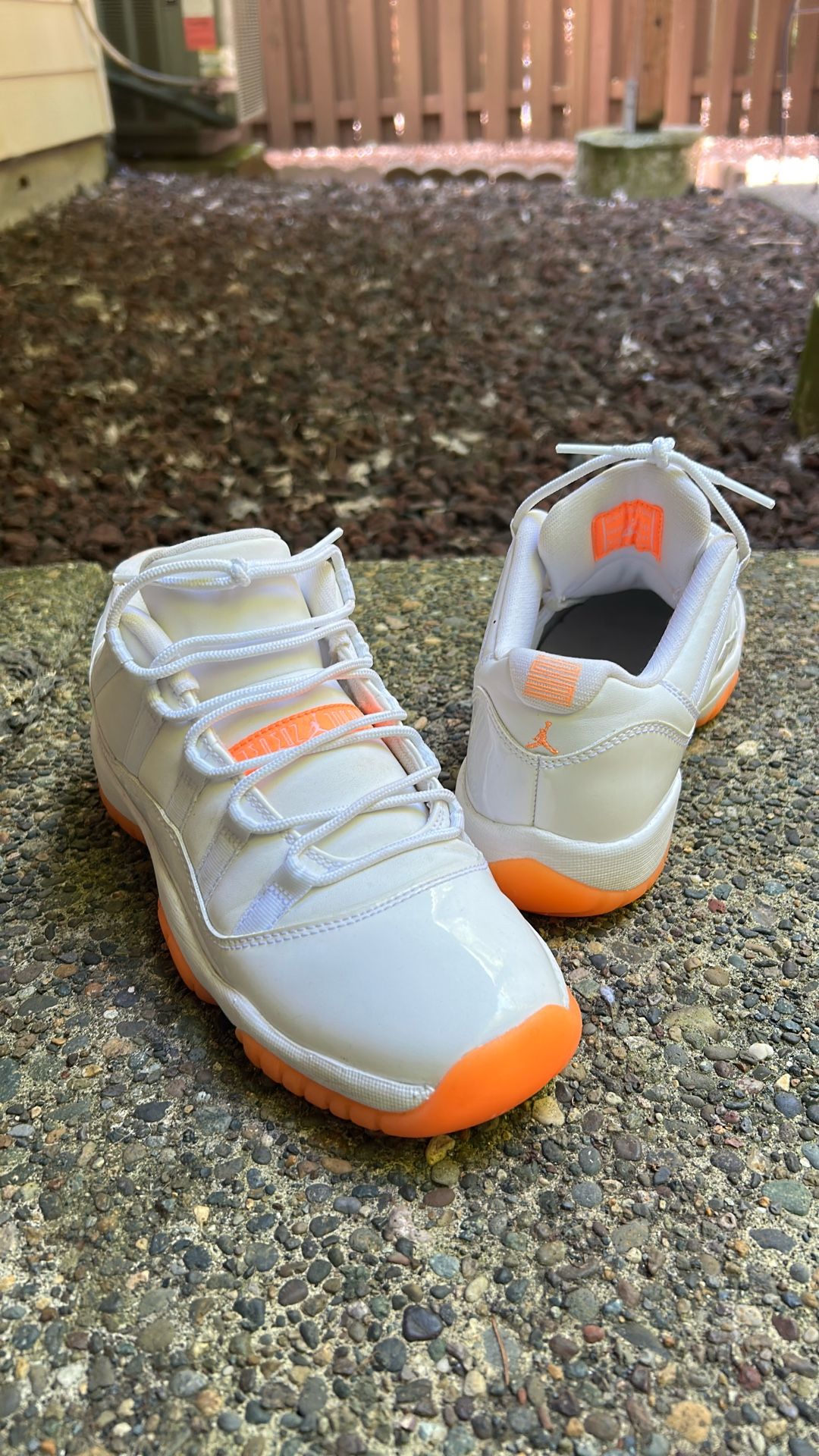 Air Jordan Retro 11 Low Top