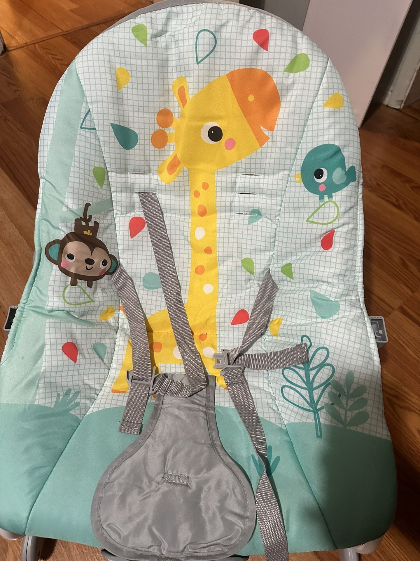 Baby Bouncer