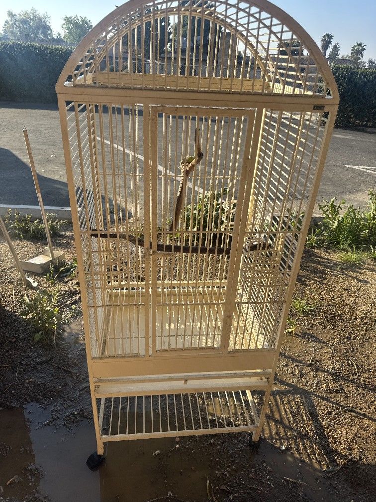 Large Bird Cage