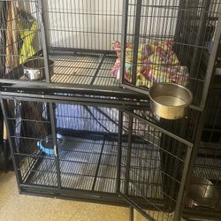Kennels 