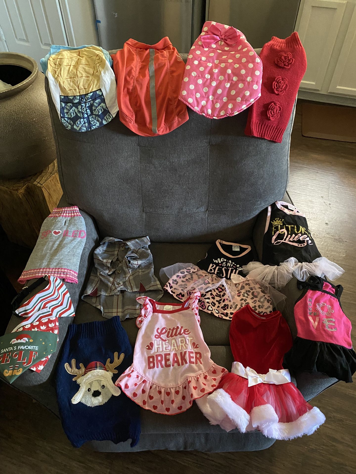 Assorted Dog Clothes $1 each